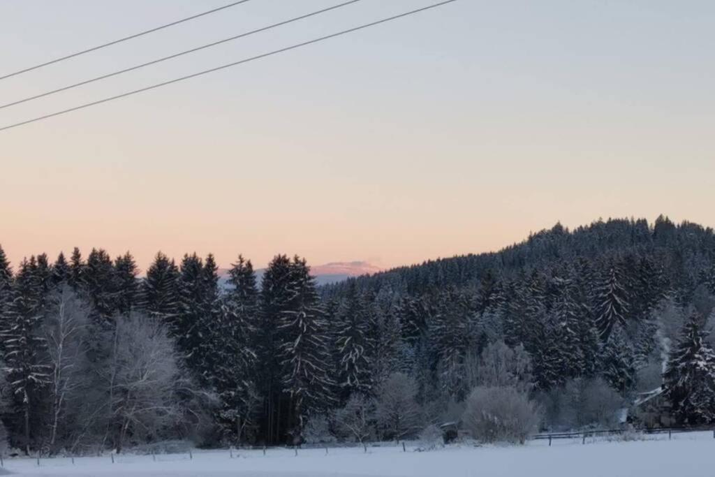 Ferienwohnung Ramona - Idyllisch Und Charmant Kirchdorf im Wald Экстерьер фото